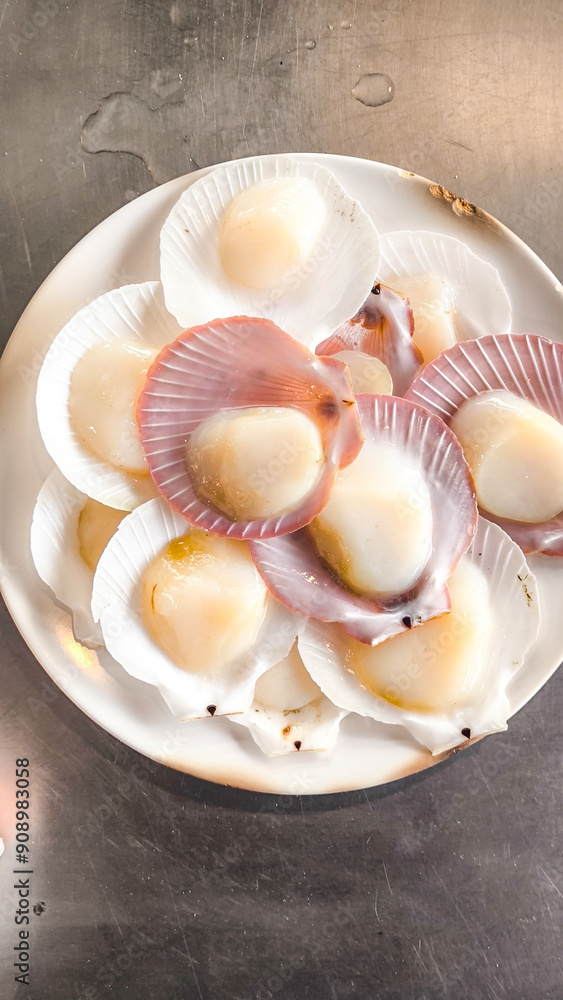 Single Shell Scallop For the background. Fresh food from the sea. Seafood in the restaurant Single Shell Scallop For the background. Fresh food from the sea. Seafood in the restaurant