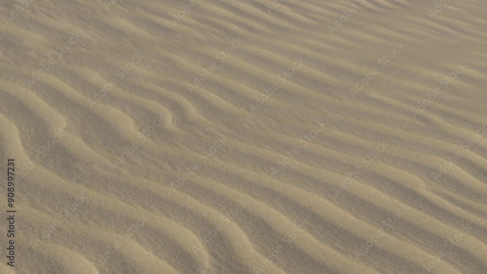 Close-up desert texture and sand grains flying in the wind Close-up desert texture and sand grains flying in the wind