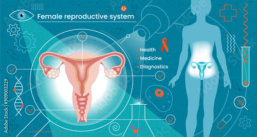 Female Reproductive System. Medical diagnostics. Modern human treatment. Innovative technologies in healthcare.