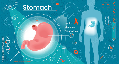 Healthy stomach system. Disease. Stomachache. Medical diagnostics. Modern human treatment. Innovative technologies in healthcare.