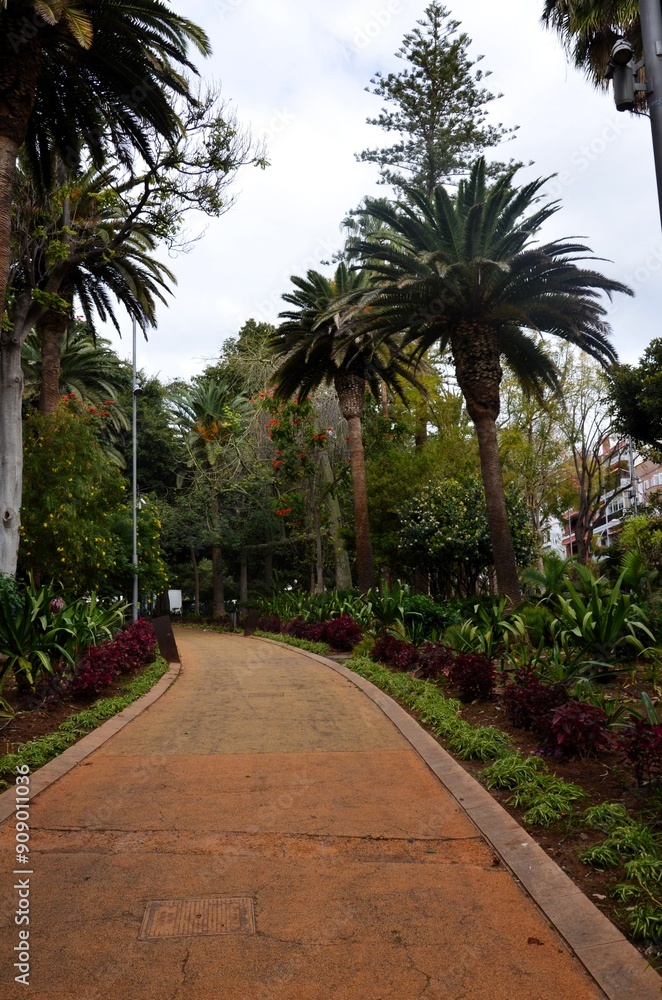 Santa Cruz de Tenerife park (Parque García Sanabria) Santa Cruz de Tenerife park (Parque García Sanabria)