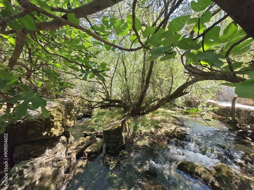 Feuchtgebiet auf Sardinien