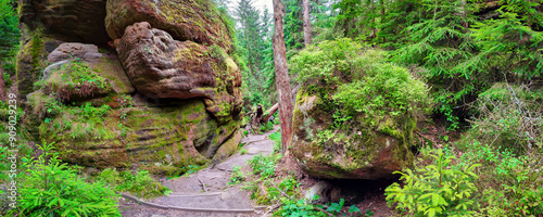 Εκτύπωση καμβά Panoramiv over hiking trail, ancient forest at Sandstone rocks Schrammstein grou