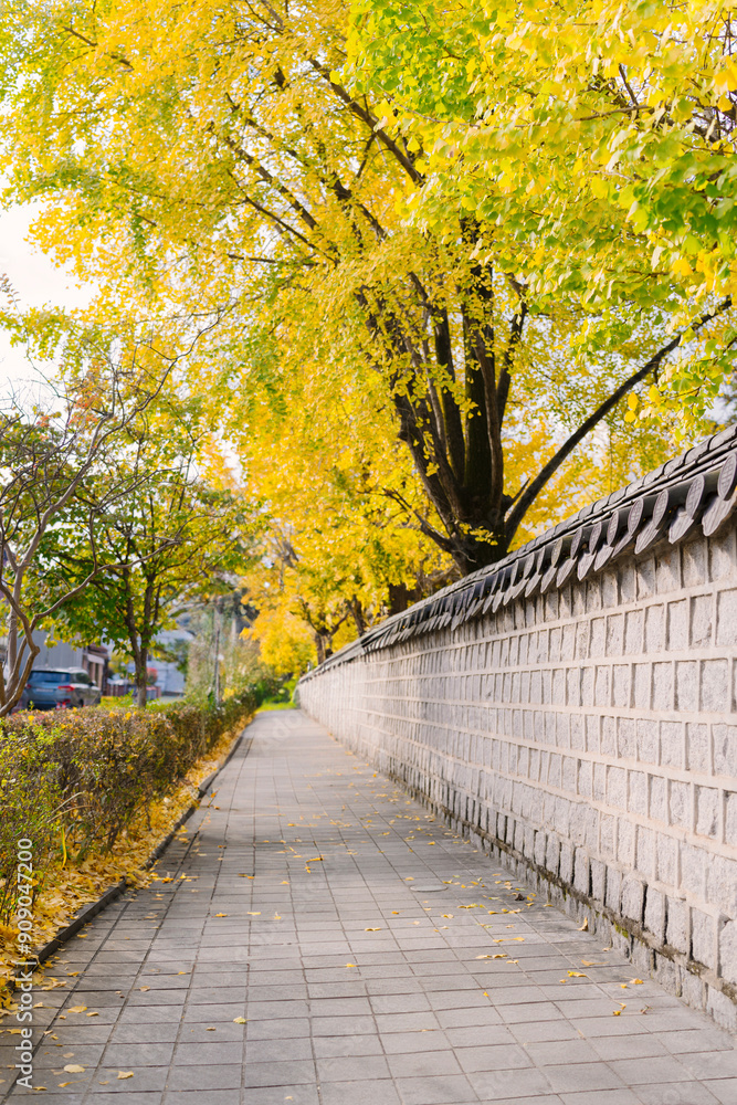 A peaceful walkway in Jeonju Hanok Village, adorned with a traditional Korean stone wall and vibrant autumn leaves in yellow and red, exudes cultural charm. A peaceful walkway in Jeonju Hanok Village, adorned with a traditional Korean stone wall and vibrant autumn leaves in yellow and red, exudes cultural charm.