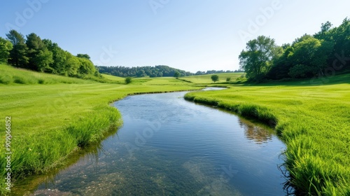 A field with visible water-efficient techniques, like mulching and contour planting