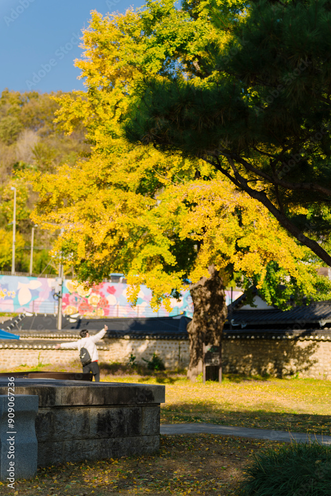 Naklejka premium a vibrant tree with yellow and green leaves against a clear blue sky, signifying autumn’s arrival in Korea. The scene is serene and full of natural beauty.