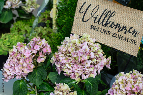 Rosefarbene, blühende Hortensie mit Willkommen Schild