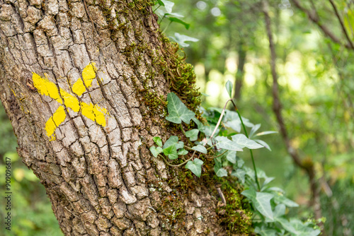 Foto Hiking trail marking in France