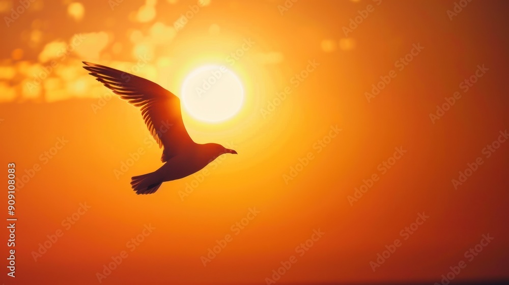 Fototapeta premium Silhouette of a bird in flight against a sunset.