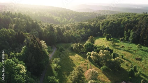 Flying over gorgeous green landscape with green forests and meadows on hills