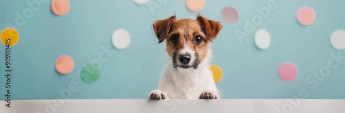 Playful Dog With Brown and White Fur in a Colorful Studio Setting