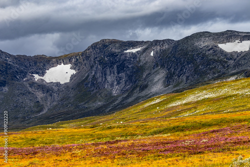 Scenic mountains in Norway, Trollheimen. photo