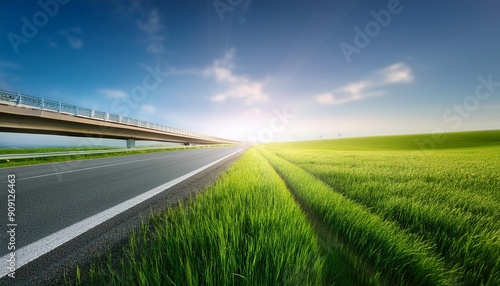 A serene landscape featuring a road, lush green grass, and a clear sky with gentle sunlight, perfect for travel or nature themes.