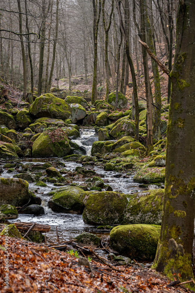 Small waterfall in the forest that is directly surrounded by trees Small waterfall in the forest that is directly surrounded by trees