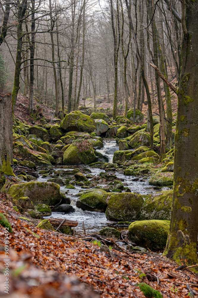 Small waterfall in the forest that is directly surrounded by trees Small waterfall in the forest that is directly surrounded by trees