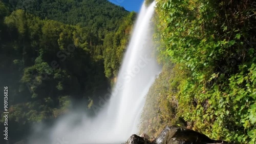 waterfall in the forest