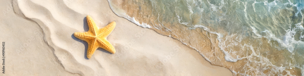 line beach sand sea starfish shells wide image line beach sand sea starfish shells wide image