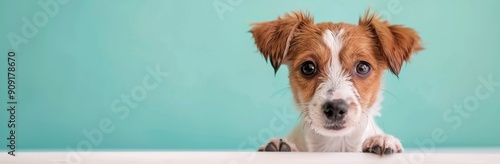 Playful Dog Curiously Peeking Over Bathtub Edge in Bright Bathroom