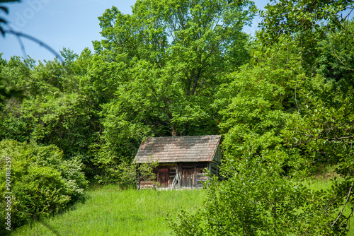 Obraz na plátně A wooden cabin in green foliage