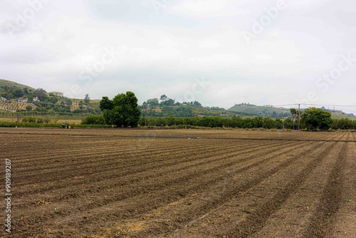 Farmland