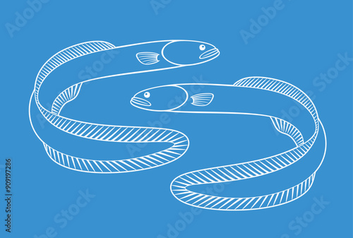 Eel outline.  Isolated eel on white background