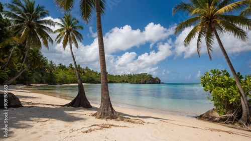 Tropical beach in caribbean style photo