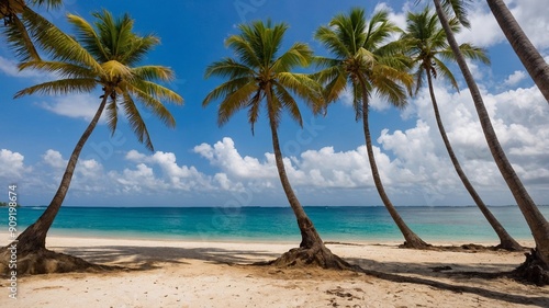 Tropical beach in caribbean style