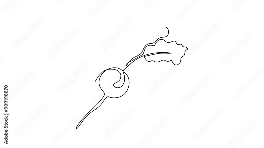 Animated self drawing of continuous line draw of whole freshness healthy organic raw red radish farm logo identity. Fresh crop concept for edible root vegetable icon. Full length single line animation Animated self drawing of continuous line draw of whole freshness healthy organic raw red radish farm logo identity. Fresh crop concept for edible root vegetable icon. Full length single line animation