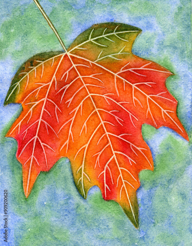 Multi-colored maple leaf against the autumn sky