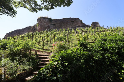 Le château médiéval, vue de l'extérieur, ville de Epinal, département des Vosges, France photo