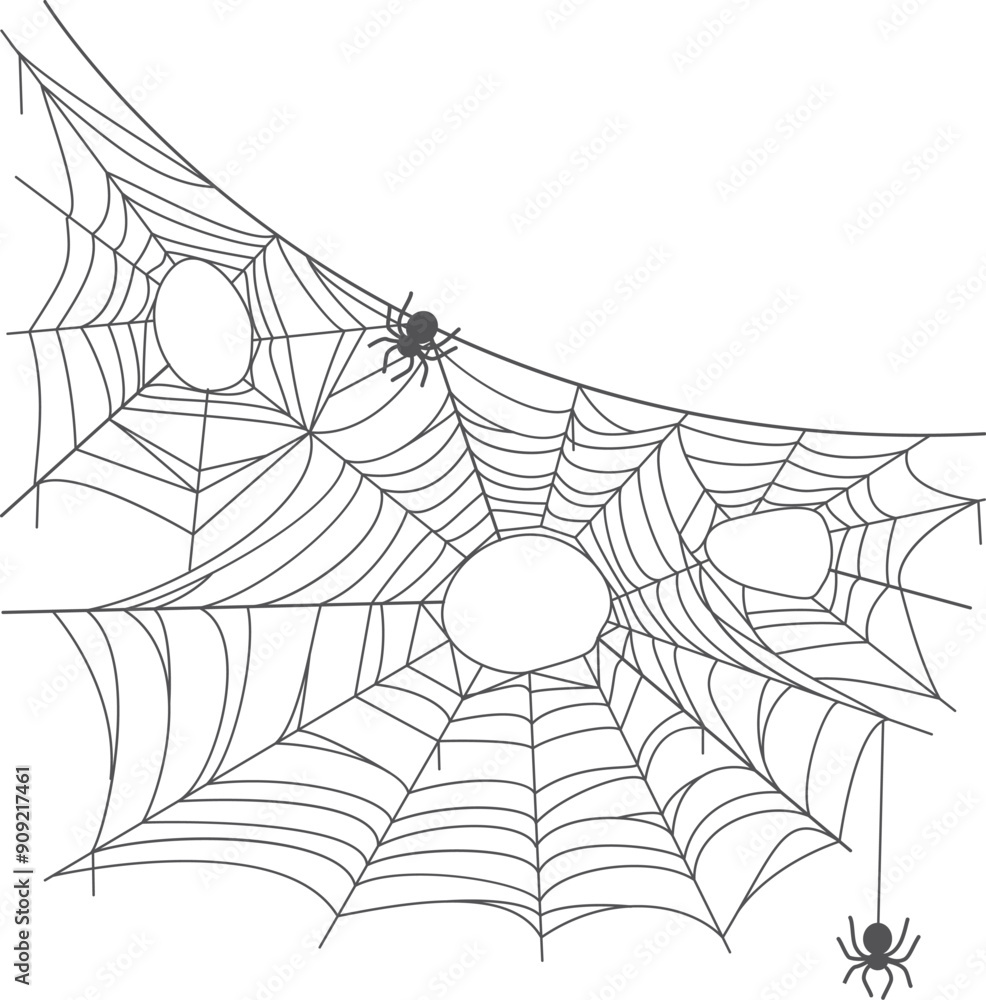 Decorative spider net. Black line cobweb silhouette Decorative spider net. Black line cobweb silhouette