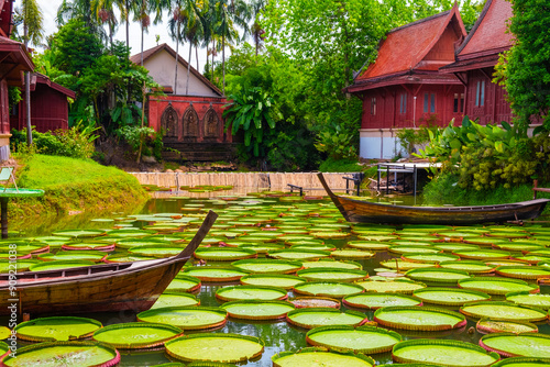 Tableau sur toile Traditional wooden Thai boats float among giant water lilies pads in a pond, surrounded by lush greenery and red-roofed buildings, Phuket, Thailand