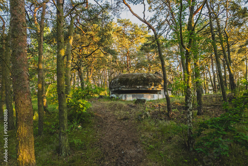 View of the former German bunker located in the Gdańsk forest. Górki Zachodnie, Poland. photo