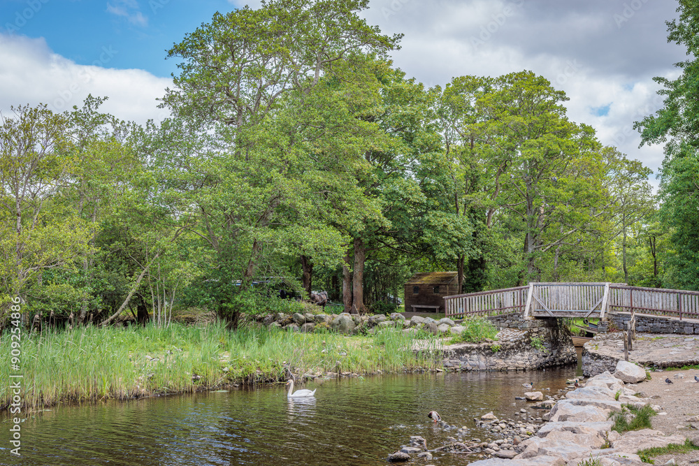 Fototapeta premium Killarney, Ireland - June 8 2024 