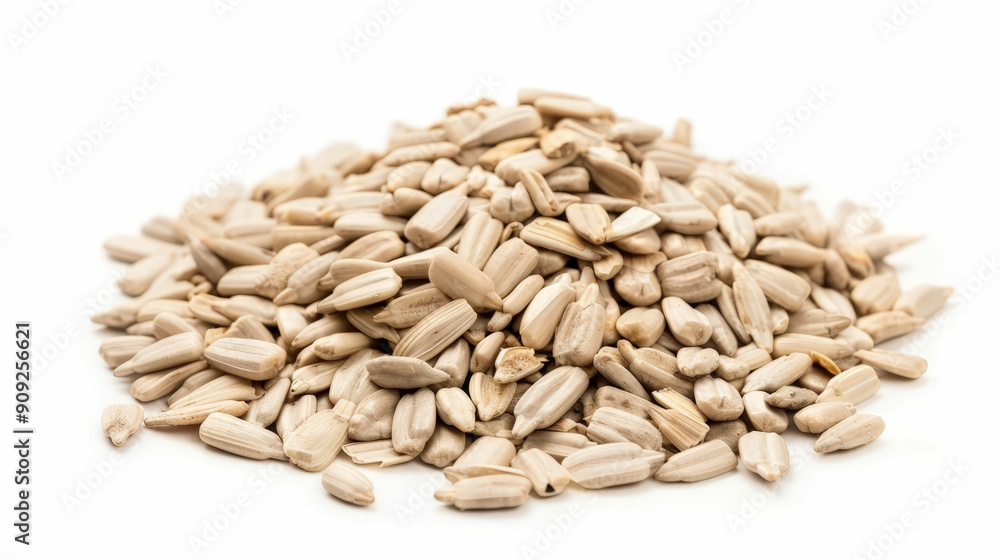 sunflower seeds isolated on white background sunflower seeds isolated on white background