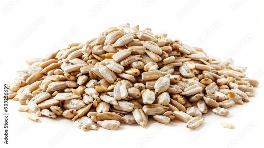 sunflower seeds isolated on white background sunflower seeds isolated on white background