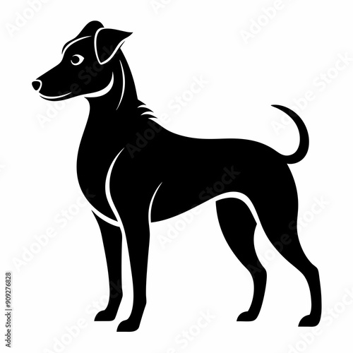 Beautiful dog vector illustration 