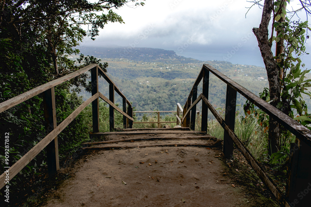 Fototapeta premium Stairway to heaven at Tet Paul nature trail St Lucia