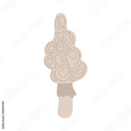 Hand-drawn illustration of a morel mushroom, ideal for articles on foraging, gourmet cooking, and wild edible fungi. Perfect for content focused on organic, natural food.