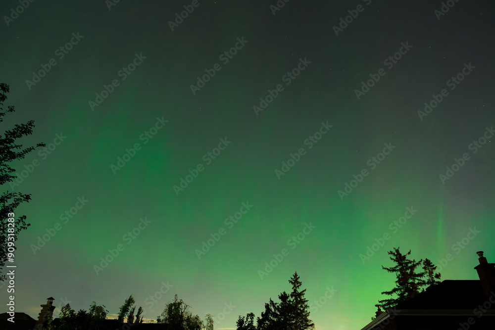 Beautiful green Aurora Borealis over a forest Beautiful green Aurora Borealis over a forest