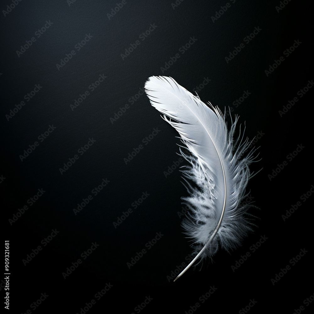 Obraz premium Close-up. Illustration of one white feather on a black background.