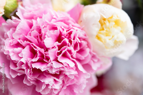 Close-Up Of Blooming Peony Flowers