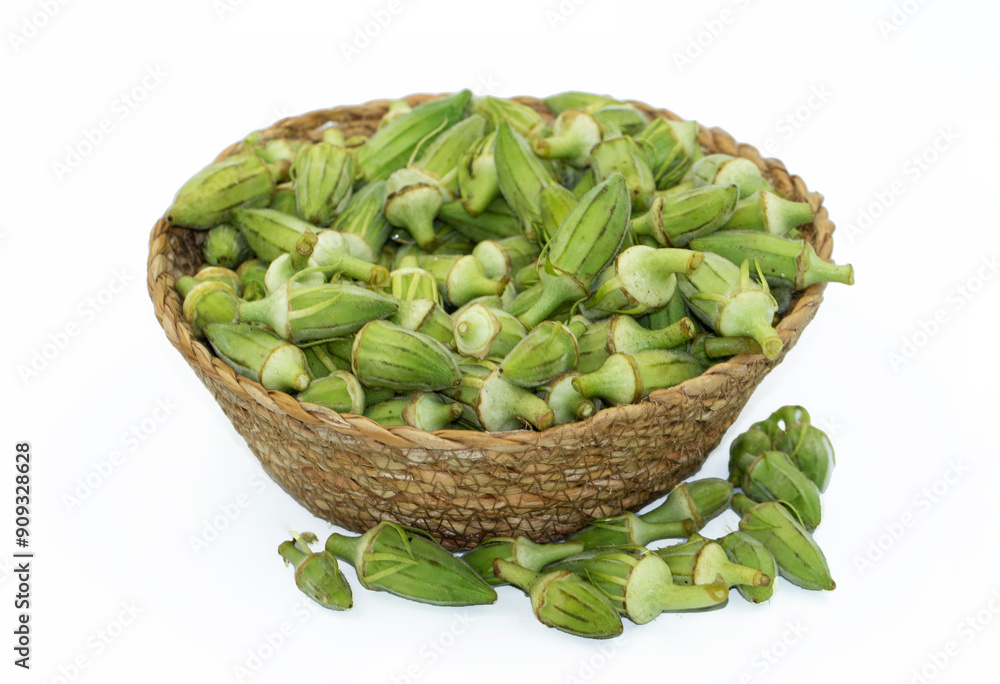 Seedpods of okra (Abelmoschus esculentus) in a basket harvested to consume as vegetable Seedpods of okra (Abelmoschus esculentus) in a basket harvested to consume as vegetable