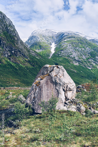 A rock from a trip to the Austerdalsbreen Glacier and the Austerdalen Valley a day of July 2024, in Western Norway.