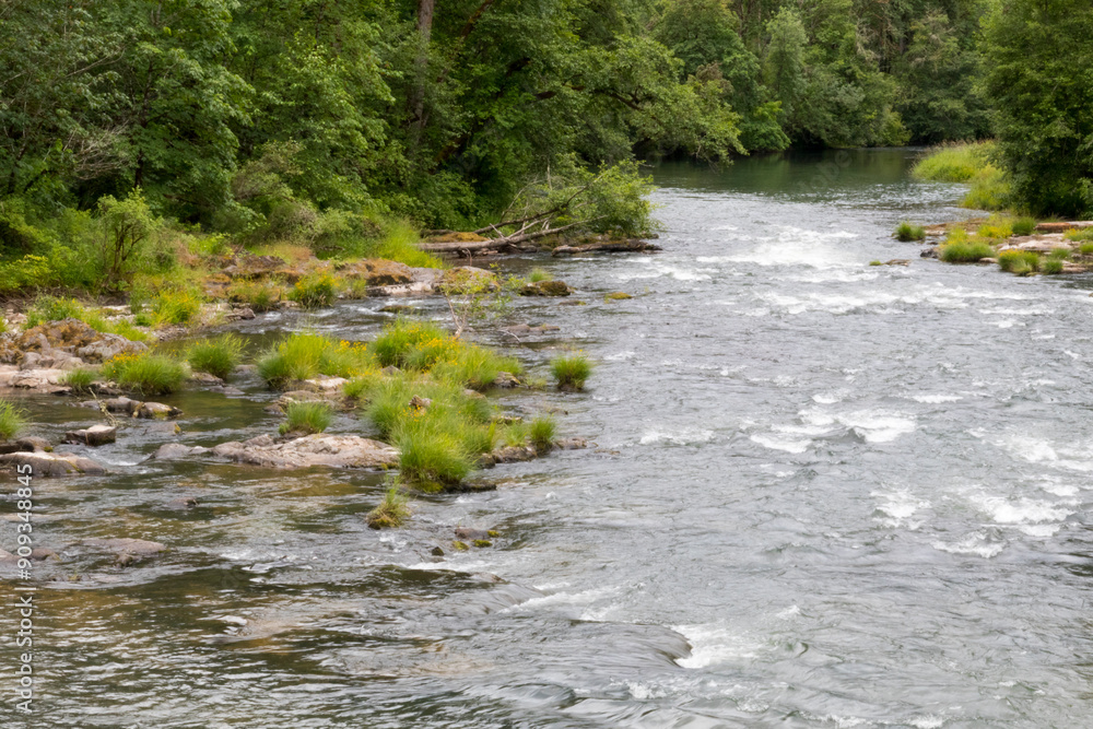 USA,Oregon, Lane CountyJasper,Place Road, Fall Creek. near Pengra Covered Bridge. USA,Oregon, Lane CountyJasper,Place Road, Fall Creek. near Pengra Covered Bridge.