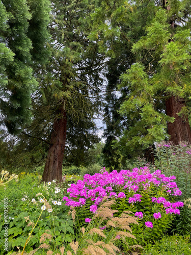 Stunning view of beautiful blooming botanical garden park Loki Schmidt with colorful flowers and trees on sunny summer day