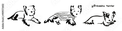 Stylized Yorkshire Terrier. Vector drawing of a small dog. Gestalt animal design