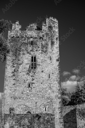 castle ruins, castlemartyr, ireland photo