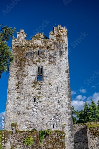 castle ruins, castlemartyr, ireland photo