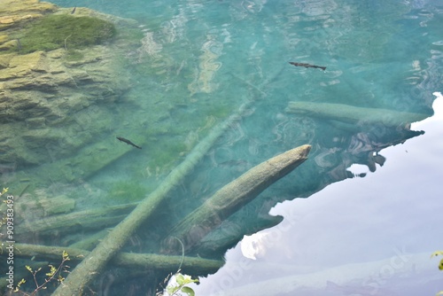 Blausee Switzerland. Beautiful clean water in lake close up photo